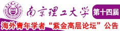 嫩逼想草南京理工大学第十四届海外青年学者紫金论坛诚邀海内外英才！